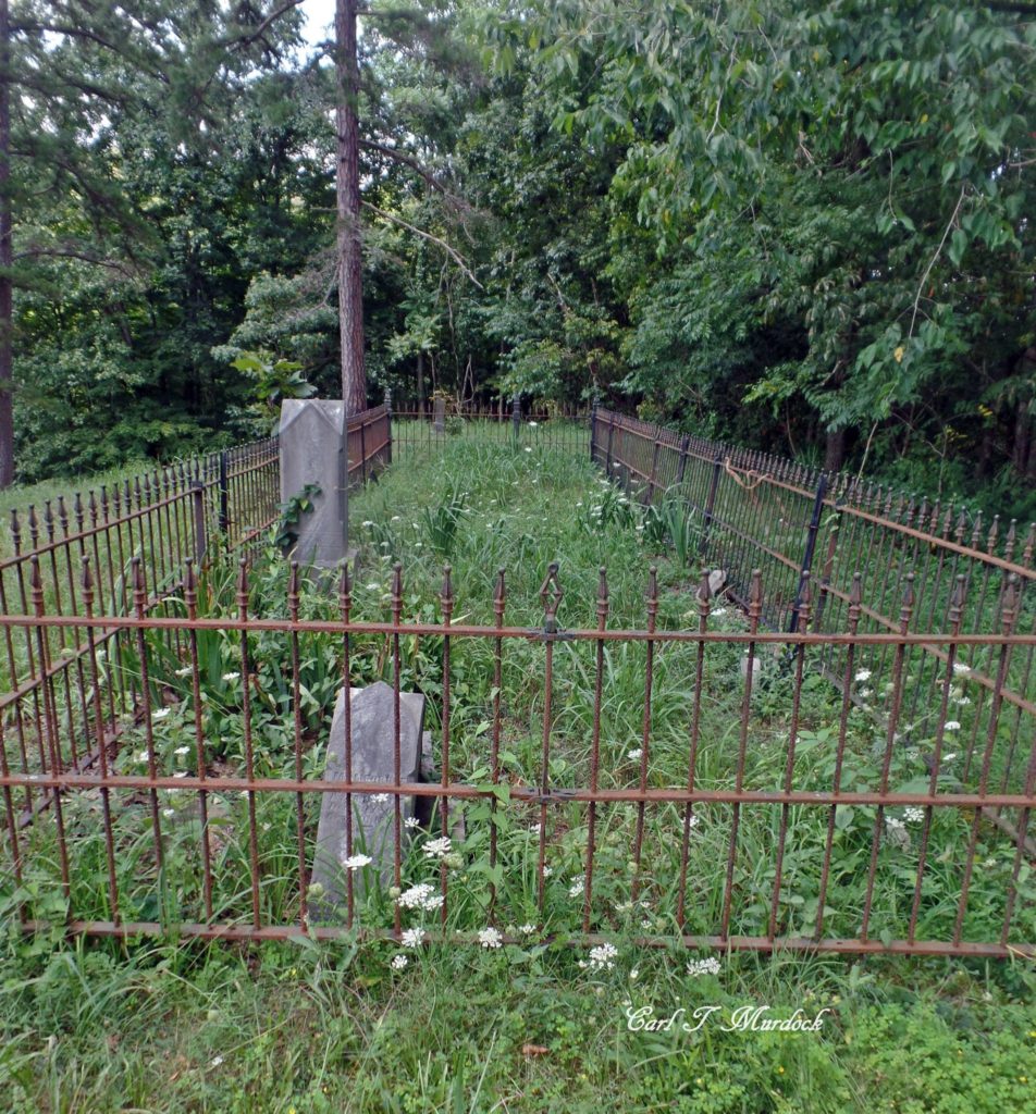 Hunt Family Plot Pine Grove Cemetery — in Windsor Township, Lawrence County, Ohio. Photo Courtesy of Carl Murdock