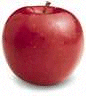 Rome Apple