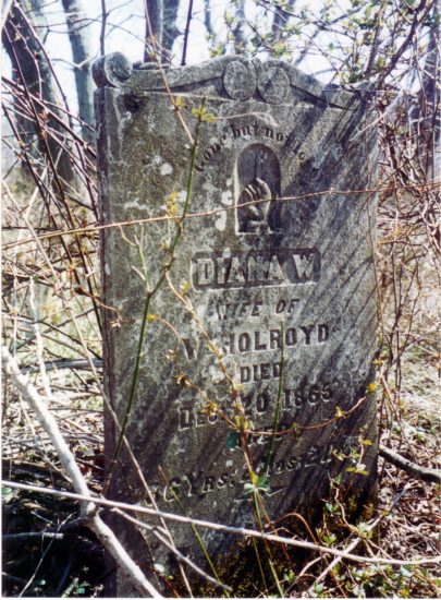  Tombstone of Diana W. Holroyd, Wakefield Cemetery, Lawrence County, Ohio