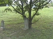 stones under a tree in a cemetery